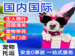 南通机场快运国际宠物托运 【国